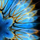 ArtLic By Habik Gail