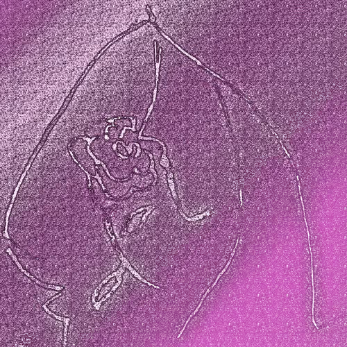 ARTQR-NATION2 ROSE GIRL