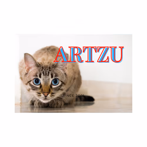 ARTZU - old