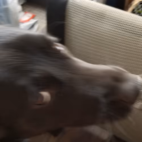 Through a Samsung Darkly