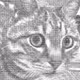 ASCII Art Animations - old
