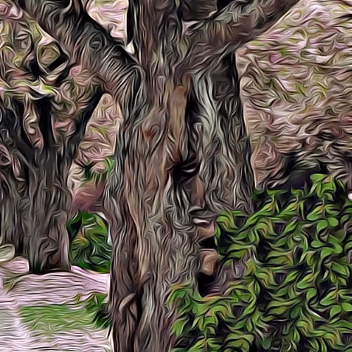 A Shuddering At Shookroot