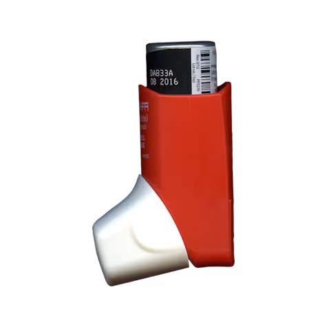 asthmaticstatic - old