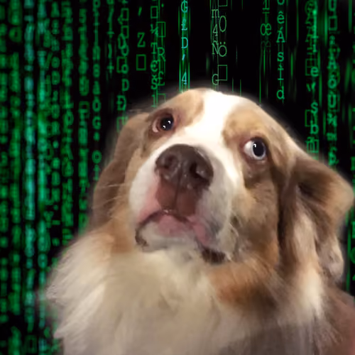 Astral Shepherd