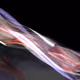 Asymptote