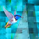 at65_art - Animals