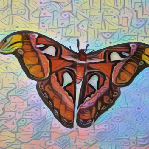 Atlas Moth NFT Series