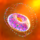 Atom Element