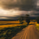 Australian Outback | Astrasyd