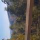 Australian Bush #1687748477