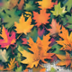 Automne