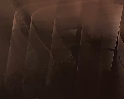 autopoiesis