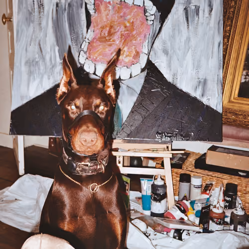 autoportraits of Willy Cartier