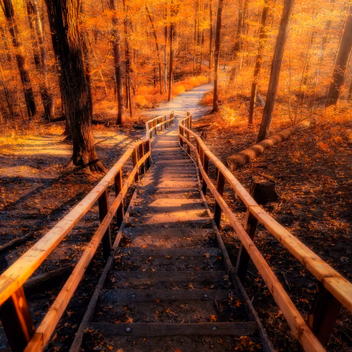 Autumn Fascination - old V2