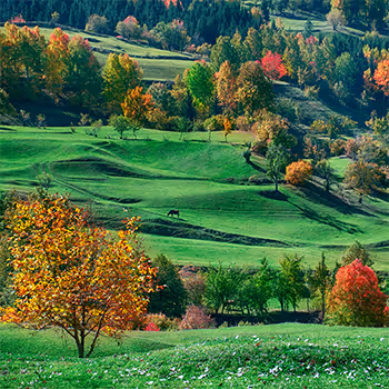 Nature Wallpaper in Turkey
