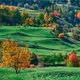 Nature Wallpaper in Turkey