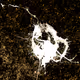 avian-art-i-fact