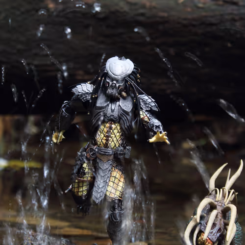 Avp warriors