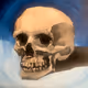 Avtor's Art
