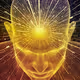 Aware Beings