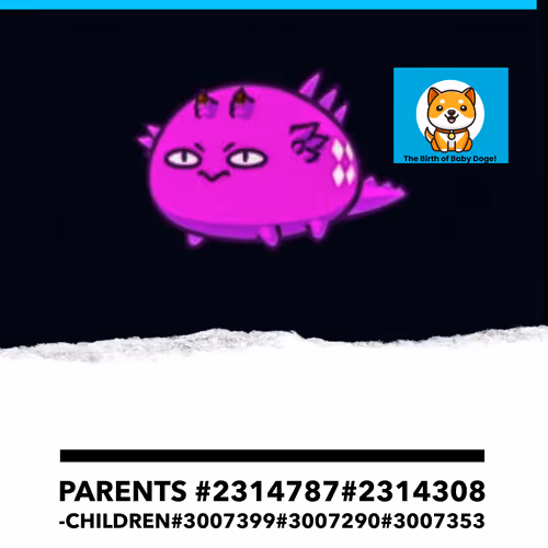 AXIEbabydoge#2698991MUXURYESTATES#0000001 - old