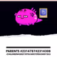AXIEbigone#2698991MUXURYESTATES#0000001 - old