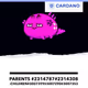 AXIEcardano#2698991MUXURYESTATES#0000001 - old