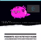AXIEcoop5050#2698991MUXURYESTATES#0000001 - old