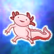 Axolotl in space