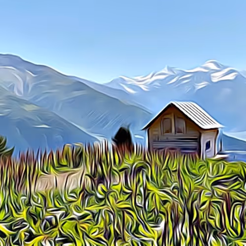 E-Real Collection - old V2