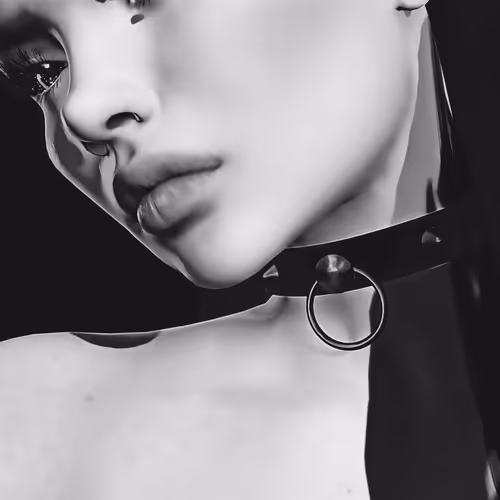 B&W Erotica 1st edition - old