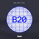 B20