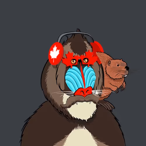 canadian baboon 1/1
