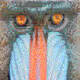 BaboonError