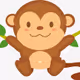 baby monkey