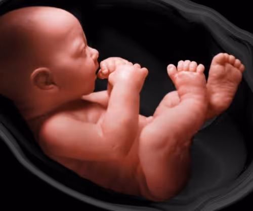 Baby In Womb