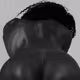 the back of a lion