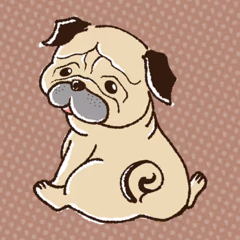 BACK PUG