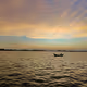 Backwater Ripples