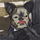 "BADART" GOOD?