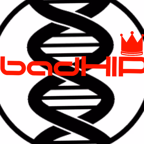 BADhip Logo's