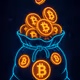 Bag of Bitcoins