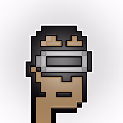 BagholderPunks