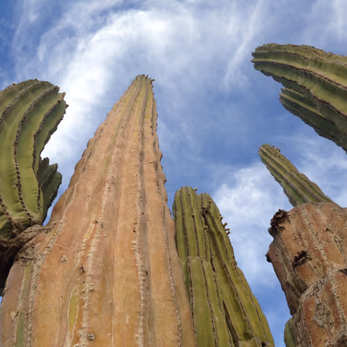 Baja California, Mexico