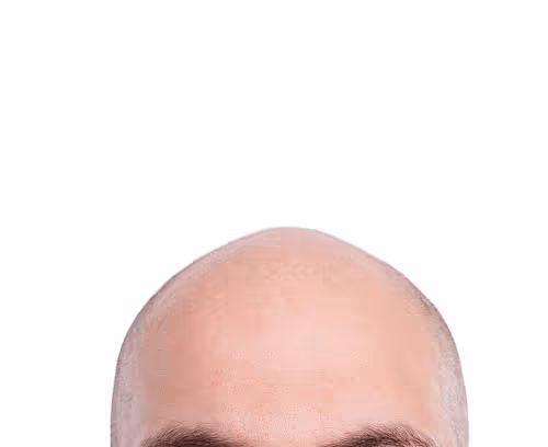 Bald Crypto