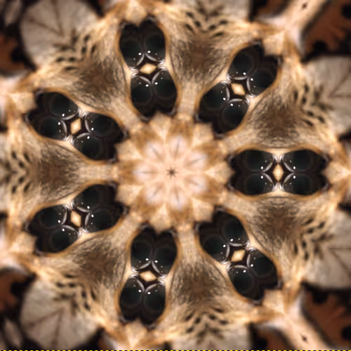 Balius Crypto Monsters with Kitty Cat Kitties descendents