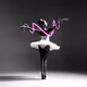 Ballet and Shadows