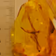 Baltik amber
