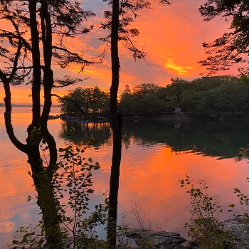 Bar Harbor Sunrise - old