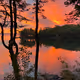 Bar Harbor Sunrise - old